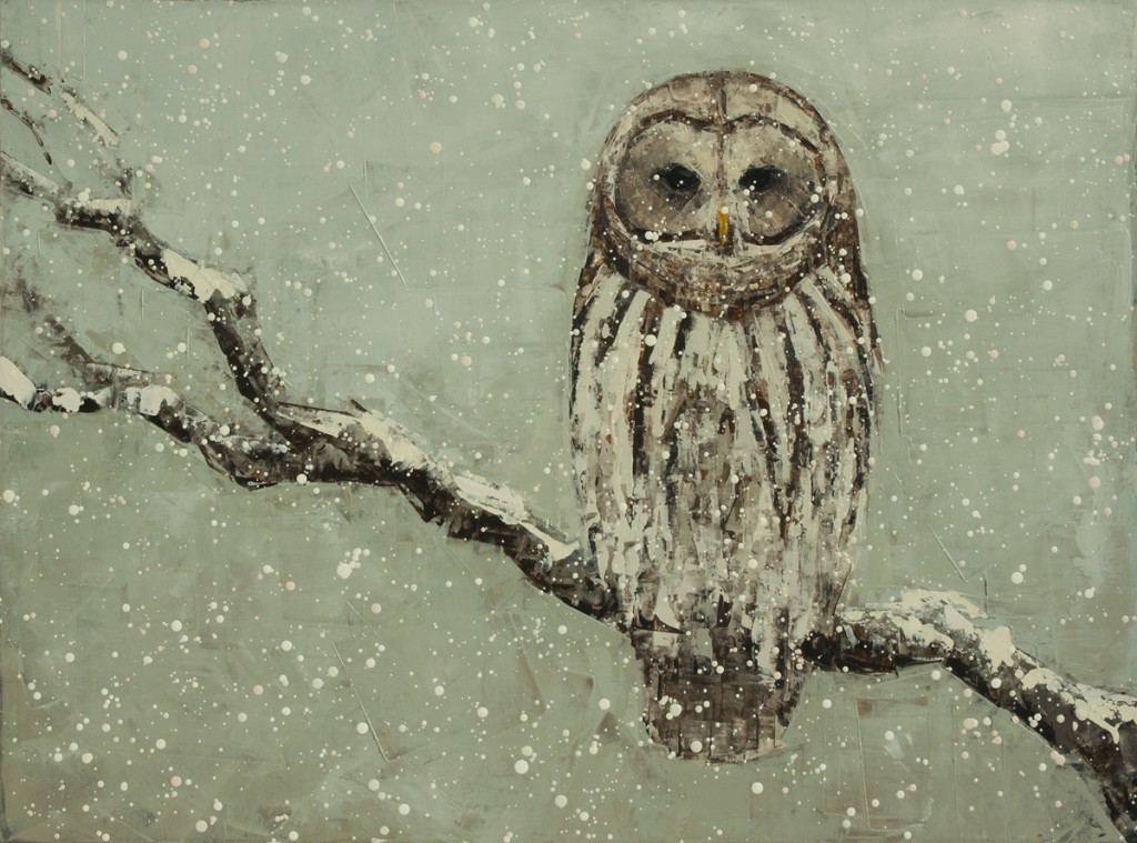 Barred Owl No. 3