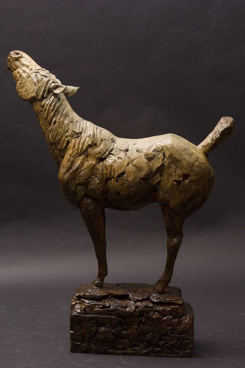 Under The Mountain Sky